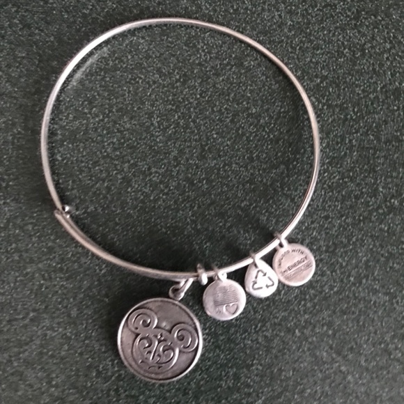 Alex and Ani Expandable Wire Bracelet Disney 2015 - Picture 10 of 16